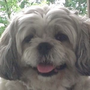 Meet your Posher, Judy